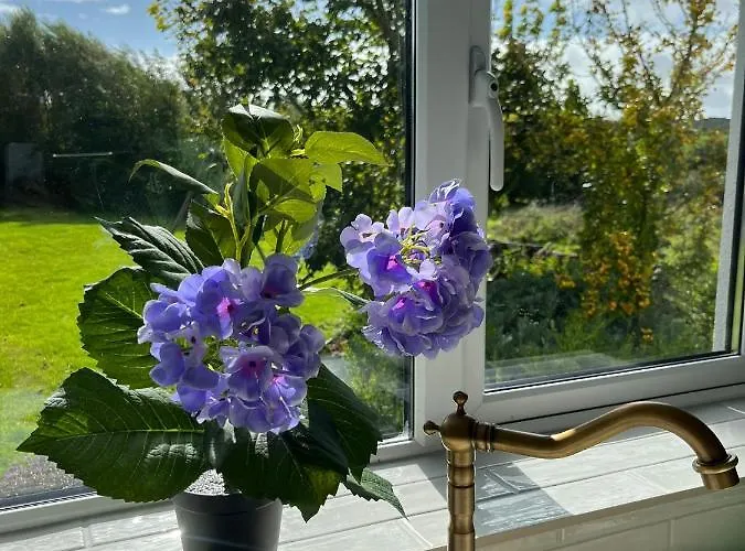 Butterfly - Entire Within 5km Of *