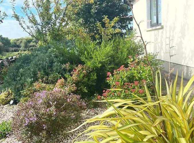 Butterfly - Entire Within 5km Of * 골웨이