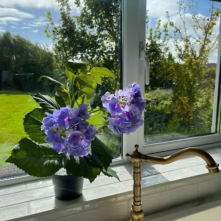 Butterfly - Entire Within 5km Of *