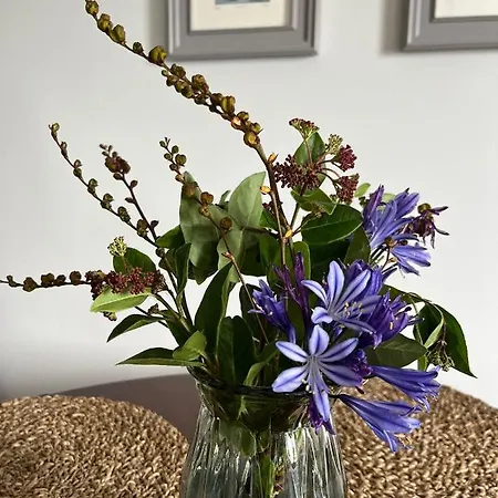 Apartment Butterfly - Entire Within 5km Of