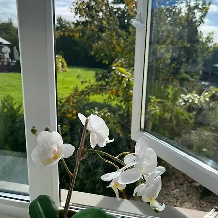 Apartment Butterfly - Entire Within 5km Of