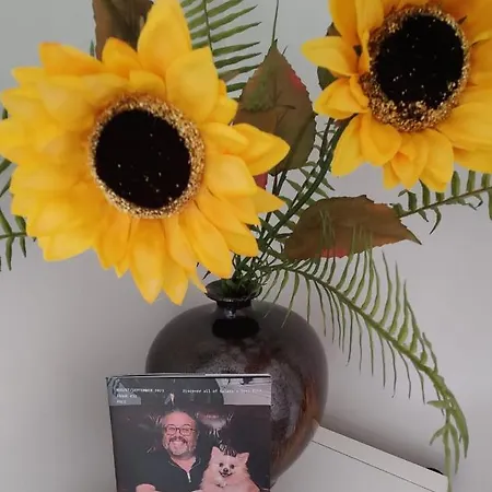 Apartment Butterfly - Entire Within 5km Of