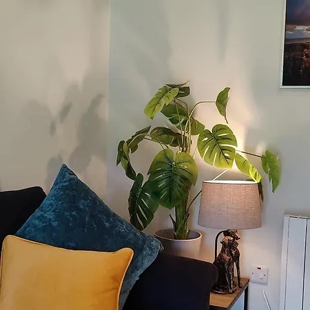 Butterfly - Entire Within 5km Of Apartament Galway
