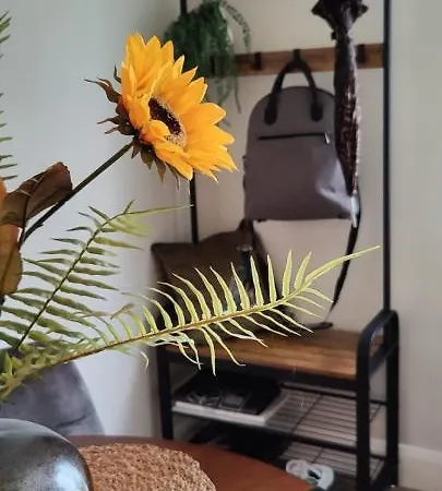 Butterfly - Entire Within 5km Of Apartment