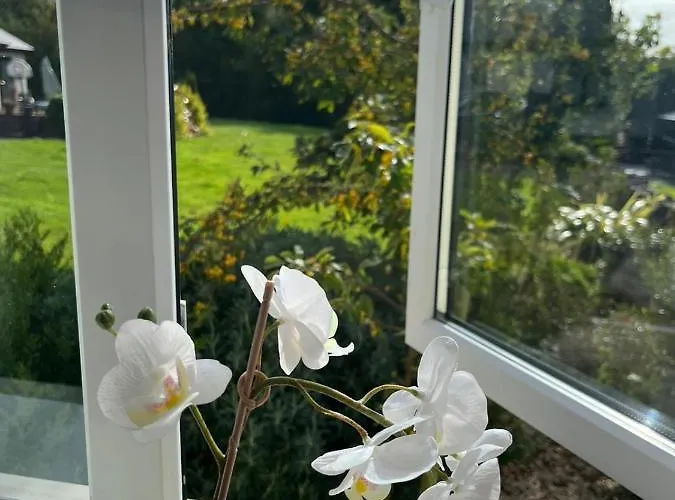 Apartamento Butterfly - Entire Within 5km Of