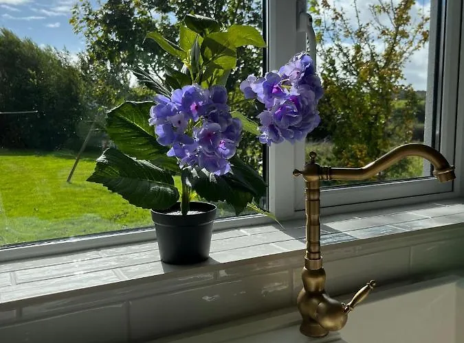 Apartamento Butterfly - Entire Within 5km Of Galway