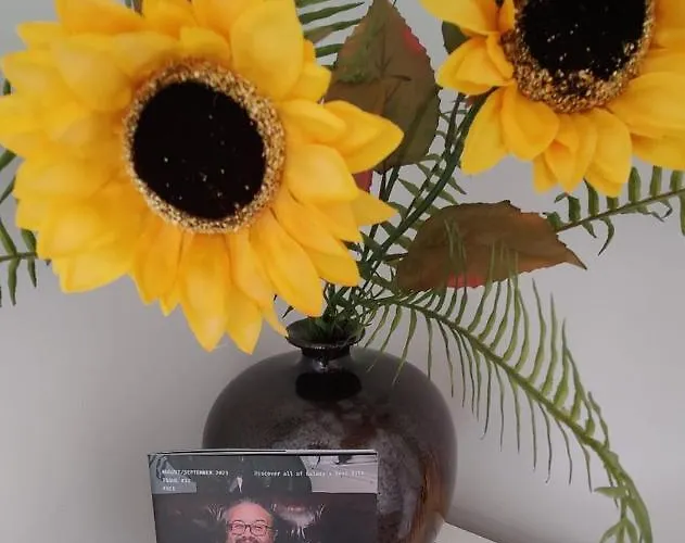 Apartamento Butterfly - Entire Within 5km Of