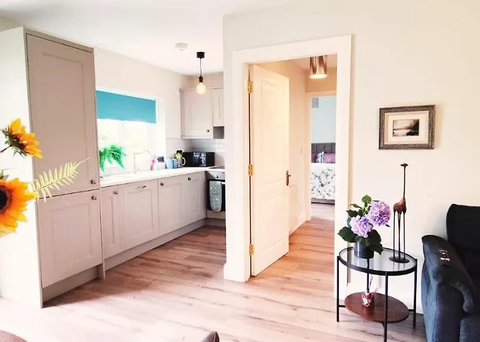 Butterfly - Entire Within 5km Of Galway