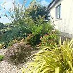 Butterfly - Entire Within 5km Of * Galway