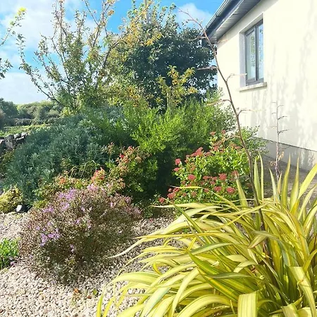 Butterfly - Entire Within 5km Of * Galway