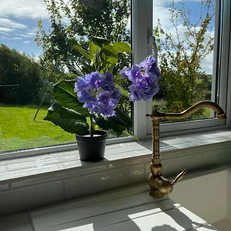 Apartamento Butterfly - Entire Within 5km Of Galway