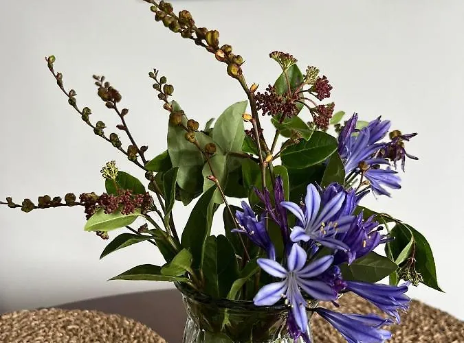 Апартаменты Butterfly - Entire Within 5km Of