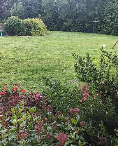 Butterfly - Entire Within 5km Of